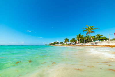 Scenic view of sea against blue sky