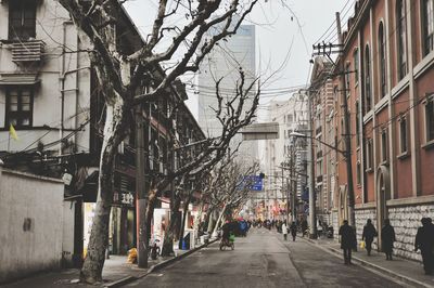 Bare trees in city against sky