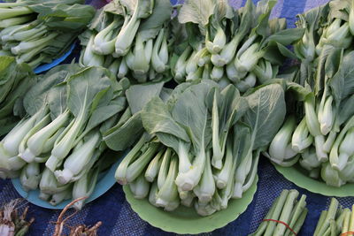 Bok choy bunches