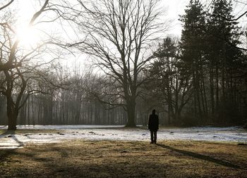 Rear view of silhouette man against trees