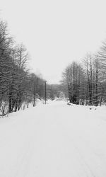 Bare trees on snow covered field