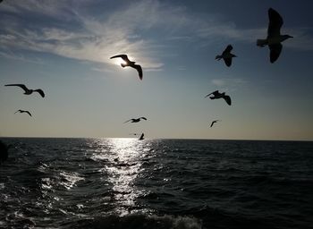 Seagulls flying over sea against sky