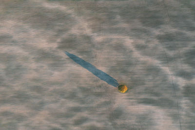 High angle view of umbrella