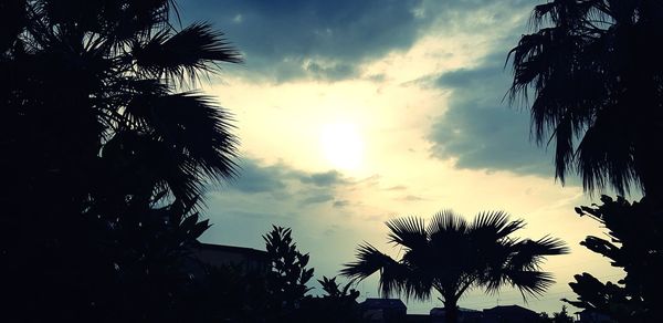 Low angle view of silhouette coconut palm trees against sky during sunset