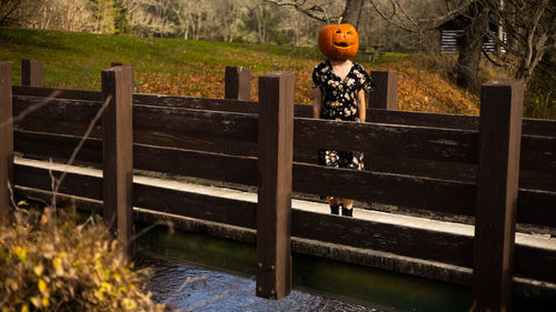 Rear view of woman standing by railing