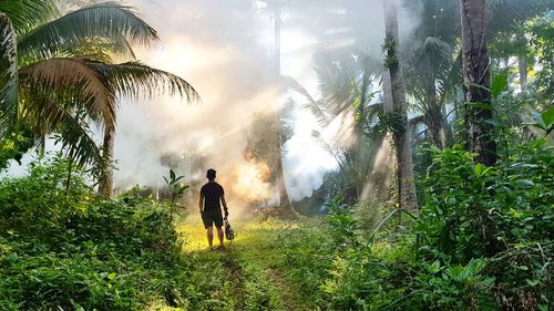 Rear view of man walking amidst plants