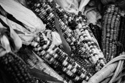 Close-up of corns for sale in market