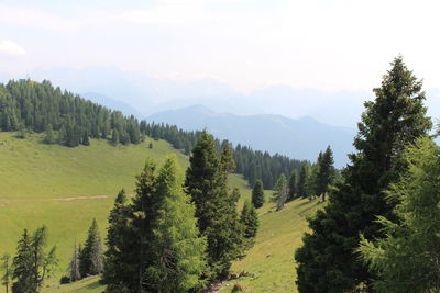 The hiking trail to dobratsch.