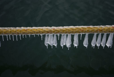 Close-up of icicles hanging against black background