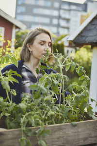 Woman holding crate with tomato plants