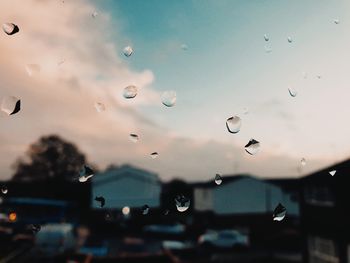 Raindrops on glass window