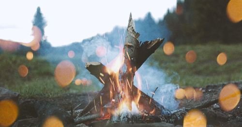 Close-up of bonfire on field in forest