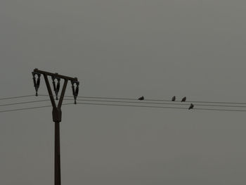 Low angle view of silhouette birds perching on cable against sky