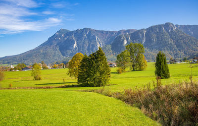 Scenic view of field against sky