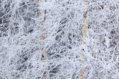 Full frame shot of window