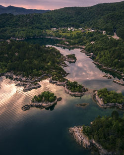 High angle view of river amidst trees