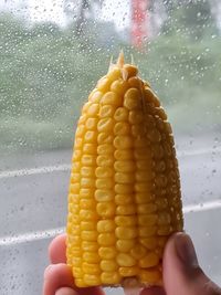 Close-up of person holding ice cream cone during rainy season