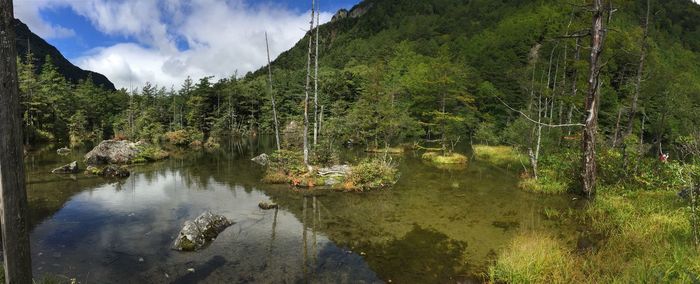 Scenic view of lake by trees against sky