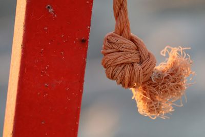 Close-up of rope tied by column