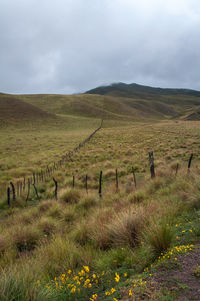 Scenic view of grassy field against sky