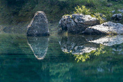 Reflection of trees in water