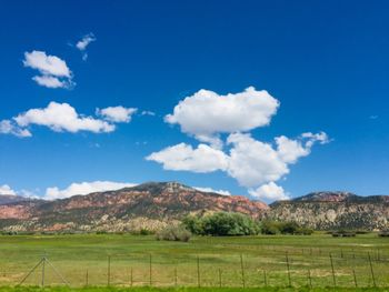 Scenic view of field against sky