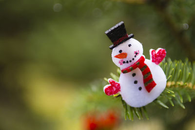 Close-up of decoration on christmas tree