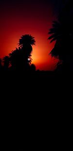 Low angle view of silhouette palm trees against romantic sky