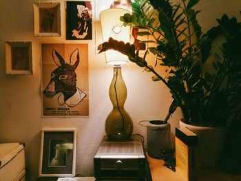 Potted plants hanging against wall at home