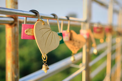 Close-up of padlocks on railing