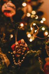 Close-up of illuminated christmas tree at night