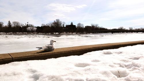 Scenic view of lake against sky during winter