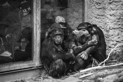 People sitting in zoo