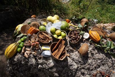 High angle view of fruit and spices on a rock