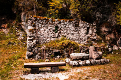 View of stone wall in forest