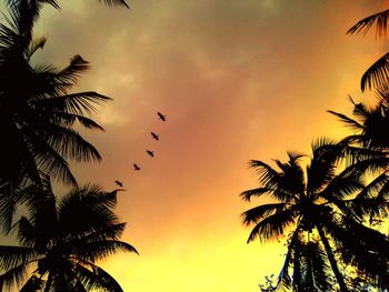 Low angle view of silhouette palm trees against romantic sky