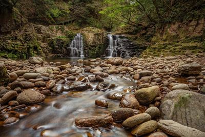 Scenic view of waterfall in forest