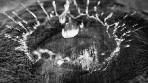 Close-up of wet spider web