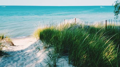 Scenic view of beach against sky