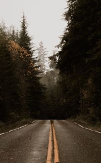 Empty road along trees