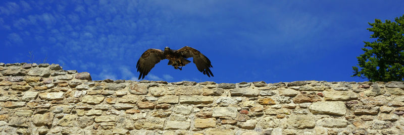 View of birds flying over rocks against blue sky