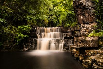 Waterfall in forest