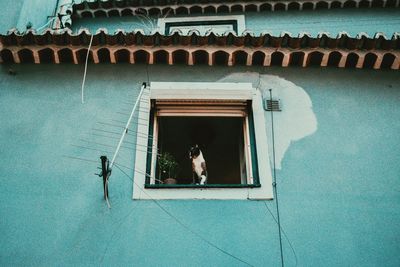 Reflection of woman on window of building