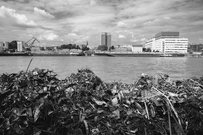 Scenic view of river by buildings against sky