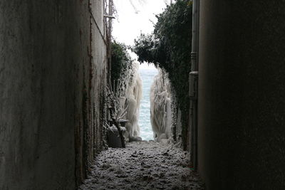 View of narrow lane leading towards beach