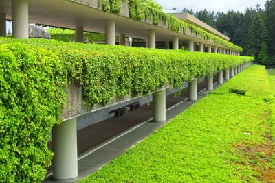 Plants growing on hill