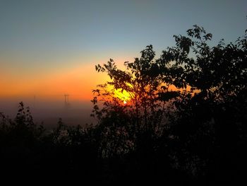 Silhouette trees against sky during sunset