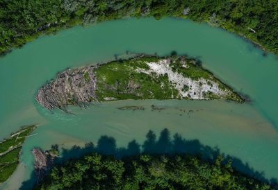 High angle view of trees by lake