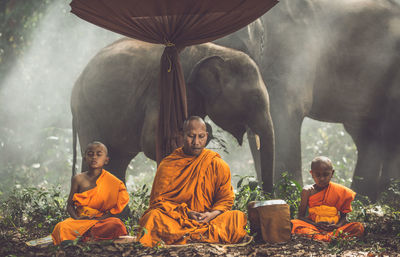 Monks meditating in forest sitting against elephants
