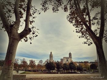 Trees and buildings against sky